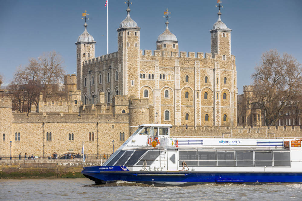 Croisière-déjeuner de Noël sur la Tamise et visite guidée de Londres