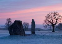 Guests taking part in the Christmas in Windsor, Oxford & Avebury's Stone Circle with Traditional Lunch