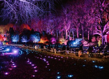 Visiteurs sur le parcours lumineux du Chelsea Winter Village