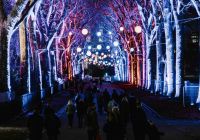 Chelsea Winter Illuminations au Royal Hospital Chelsea