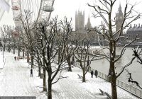 London Christmas Day Lunch Cruise and Guided Tour in London