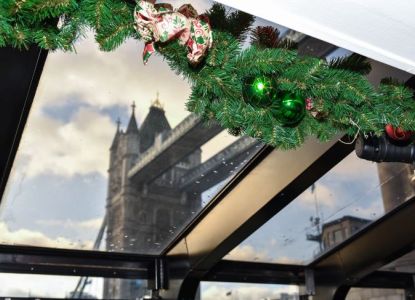 Sightseeing during the London Christmas Day Sightseeing Cruise in London