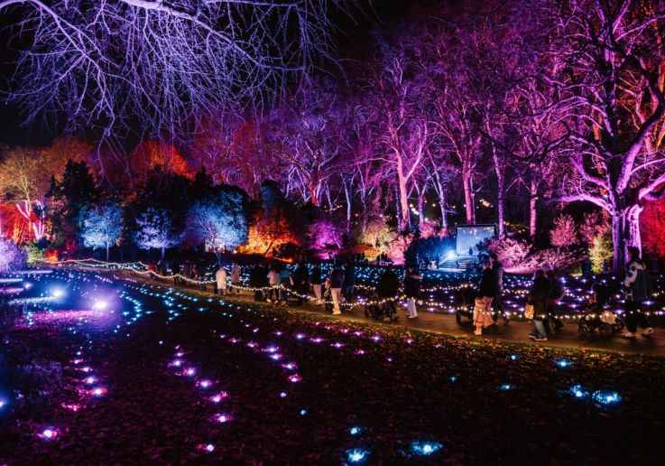 Visiteurs sur le parcours lumineux du Chelsea Winter Village