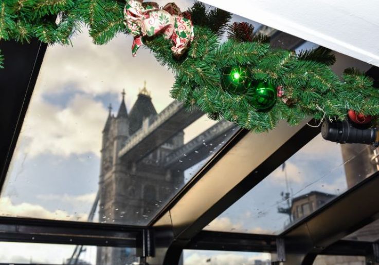 Sightseeing during the London Christmas Day Sightseeing Cruise in London