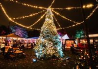 Installation lumineuse sur le parcours de Chelsea Winter Illuminations