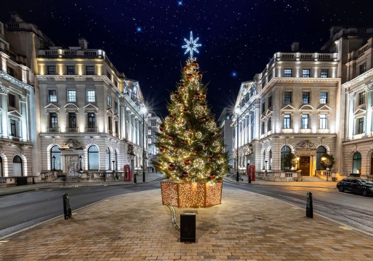 Un sapin de Noël dans le centre de Londres, la nuit