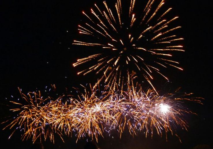 Golden fireworks lighting up the night sky