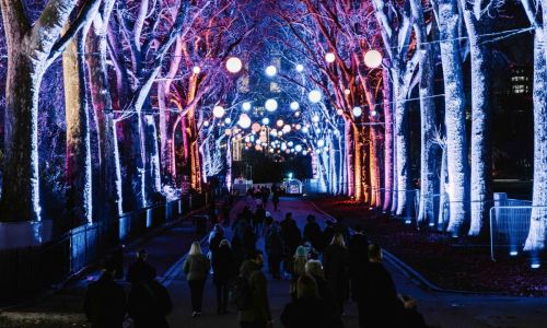 Chelsea Winter Illuminations au Royal Hospital Chelsea