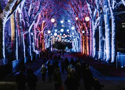Chelsea Winter Illuminations au Royal Hospital Chelsea