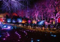 Visiteurs sur le parcours lumineux du Chelsea Winter Village