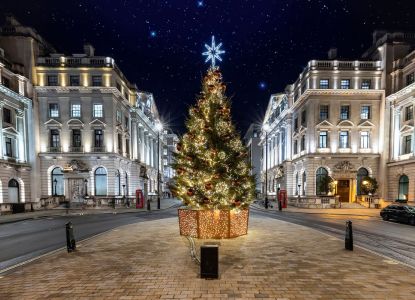 Un sapin de Noël dans le centre de Londres, la nuit