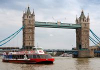 Guests taking part in the London Christmas Day Sightseeing Cruise in London