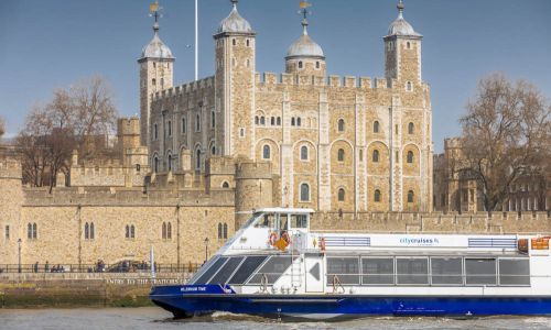 Visite guidée de Londres et croisière-déjeuner spéciale Noël