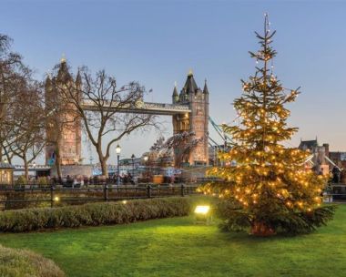 Christmas Day Hop-on Hop-off Bus Tour