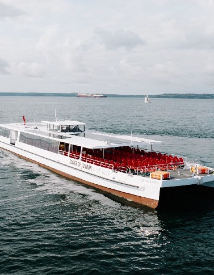 New Year’s Eve Silver Raven Electric Vessel